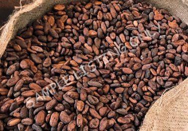 Madagascar Cocoa Beans