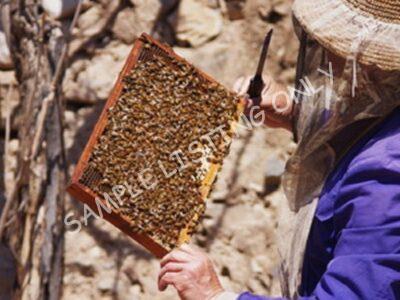 Pure Madagascar Honey